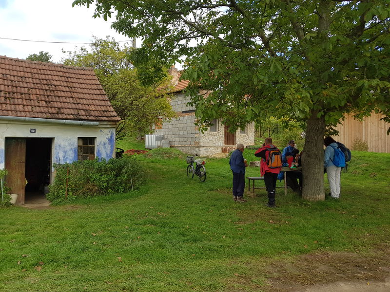 Foto_288729.jpg